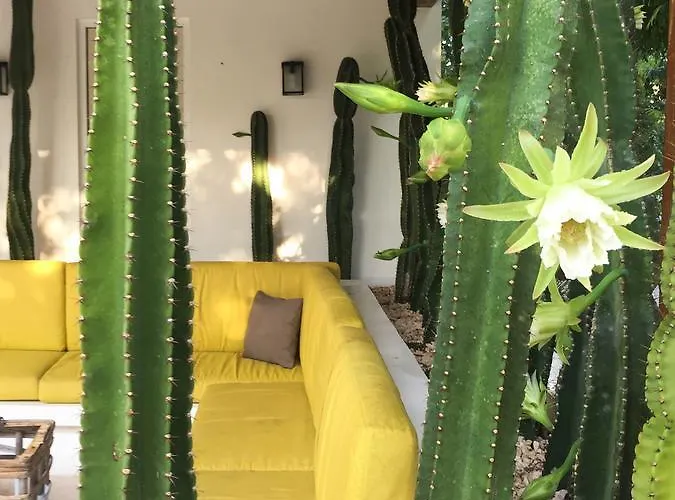 Pousada Luxury Private , Private Pool, Private Garden, Jacuzzi, 24hours Security